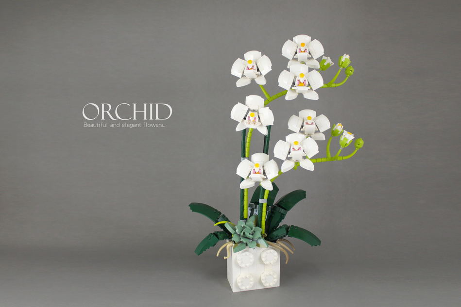Orchidea Lego 🌸🪴 forse è la volta buona che non muore. #orchidea #or